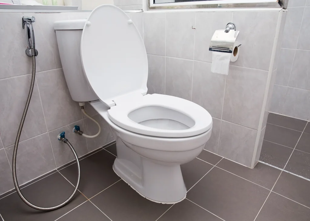 White two-piece toilet with the seat raised in a tiled bathroom, with a sprayer hose on the wall