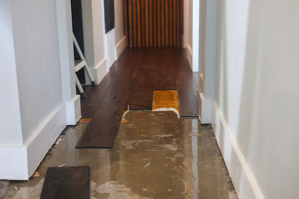 Hallway with wood flooring planks pulled up to expose a wet concrete slab underneath