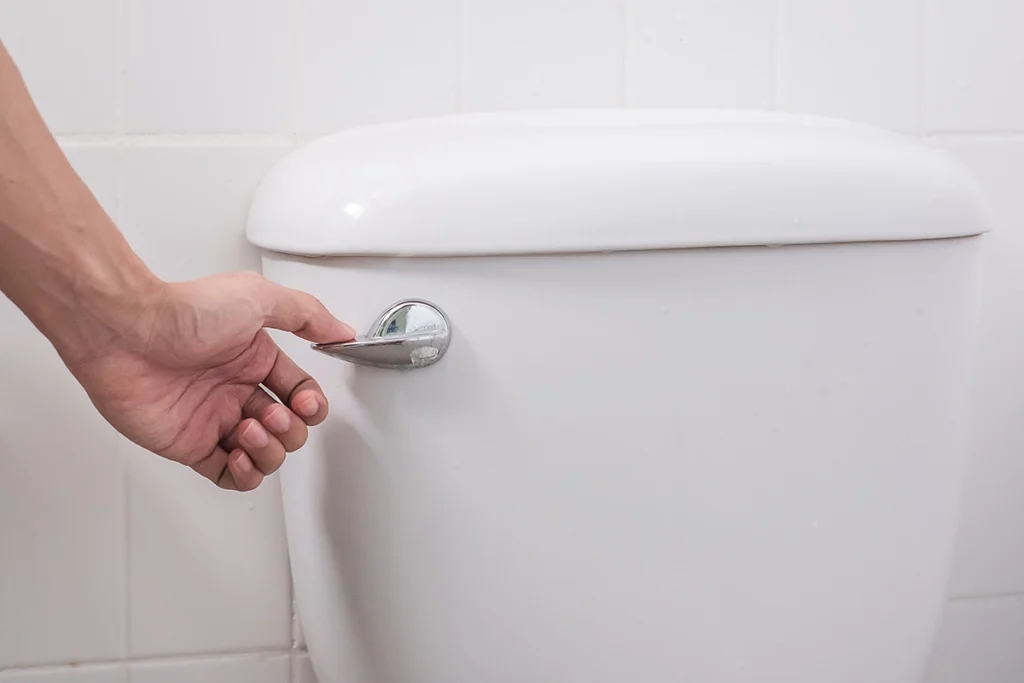 Hand pressing the chrome flush handle on a white toilet tank