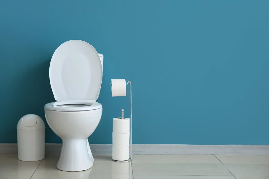 White toilet on a tile floor against a blue wall, with a toilet paper stand beside it